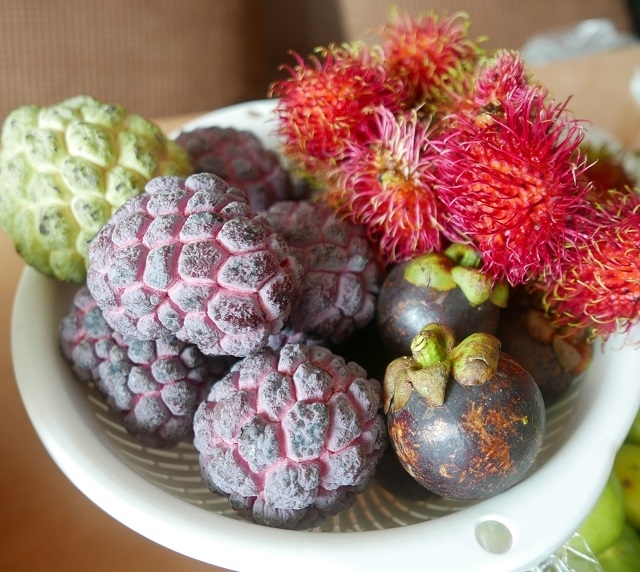 ノーイナー（釈迦頭）も出荷が始まりました緑色と紫色がありますが味はほぼ同じのようです。<br />