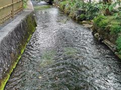 長浜に着いた後はJRで醒ヶ井駅まで移動します。
湧水路だけあって水辺の近くはとても涼しいです。
佇むだけでも疲れが取れるようです。