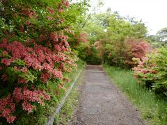 上ノ山公園