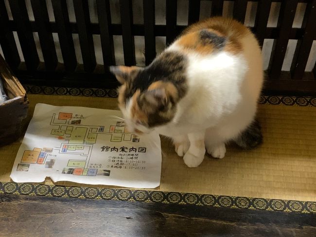 にゃす（那須）☆テルマエロマエ撮影温泉とか』那須(栃木県)の旅行記 
