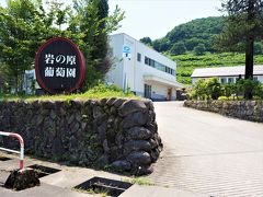 　近くには岩の原ワイン醸造所があり、二回目の訪問です。
(  https://www.iwanohara.sgn.ne.jp/   )