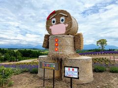 富良野から美瑛に移動し四季彩の丘に来ました。