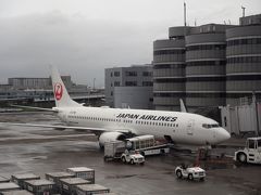 サクララウンジでビールを一杯飲んで、搭乗口へ。

（JAL587）羽田 12:45 → 函館 14:10