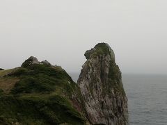 猿岩
本当に猿の横顔の雰囲気だ