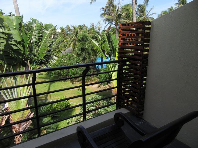 二度寝した後起床。ベランダに出ると今日は良い天気！。朝から暑いですが、未明より湿度が低く快適です。