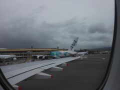 １時間早く到着した、フライングホヌ　カイくんが見えます。