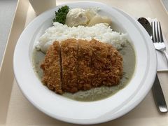 ダムに来たからにはやっぱりダムカレー、ついでにとんかつも。