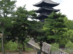 猿沢池をぐるりと一周して猿沢池越しの五重塔を写真に収めて、興福寺を後にしました。