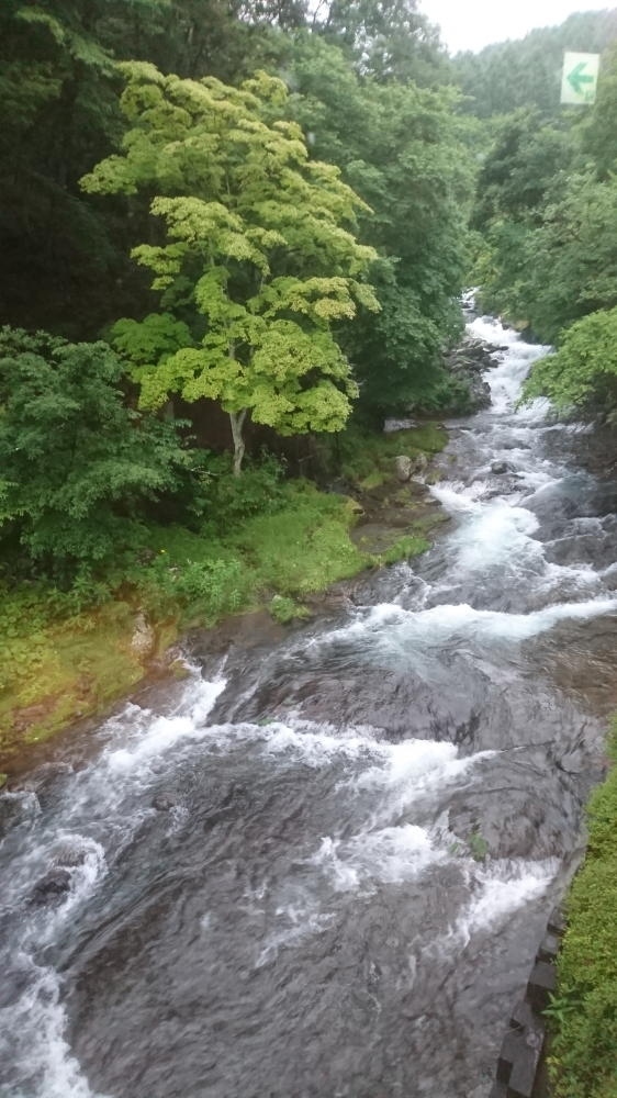 年 蓼科高原でマイクロツーリズム 茅野 長野県 の旅行記 ブログ By Chiaki Kさん フォートラベル 年 蓼科高原でマイクロツーリズム 茅野 長野県 の旅行記 ブログ By Chiaki Kさん フォートラベル