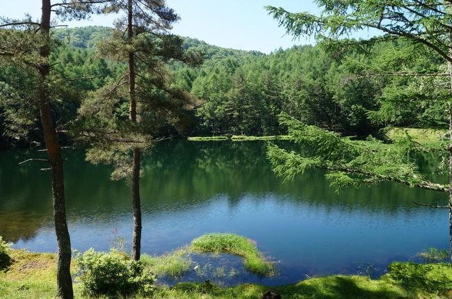 年 蓼科高原でマイクロツーリズム 茅野 長野県 の旅行記 ブログ By Chiaki Kさん フォートラベル