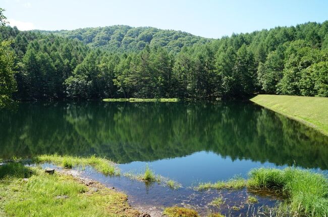 年 蓼科高原でマイクロツーリズム 茅野 長野県 の旅行記 ブログ By Chiaki Kさん フォートラベル 年 蓼科高原でマイクロツーリズム 茅野 長野県 の旅行記 ブログ By Chiaki Kさん フォートラベル