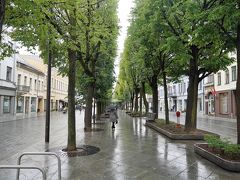 聖ミカエル教会から出るとライスヴィス大通り。
雨に濡れた通りは綺麗・・