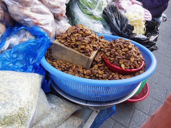  ポンデギ(カイコ)はゲットしない。<br />早く、ポンテギダイエットの信奉者になってくれないかな。<br />そしたら、嫁隊長に毒見させてから、私も食べられるのに。<br />嫁隊長「絶っ対~無理！」