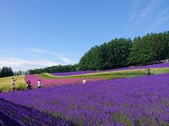 ７月19日。最高気温は富良野で30℃。