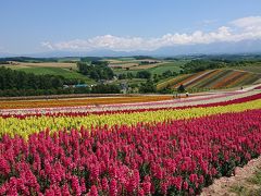 十勝岳まで青空が拡がり、広大な敷地に花が咲いています。丘陵が美瑛らしい風景。
(11:28)