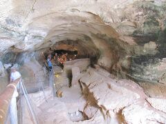 ＜マルタ島・ビルゼブジャ＞
早速、マルサシュロックからバスで、アール・ダラム洞窟と博物館（Għar Dalam Cave and Museum ）へ。
奥行き145m、五層の洞窟から発見された動物の骨から、氷河期にはシチリア島と地続きだったことがわかるとか。