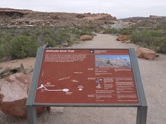 Arches National Park

15時55分、Delicate Arch Trailに到着しました。以前来たときは18時半ぐらいで駐車場がほぼ満車状態で、車を駐車するのに大変苦労しましたが、この時間だとそのようなこともなかったです。