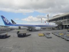 ダニエル K イノウエ国際空港 / ホノルル国際空港 (HNL)