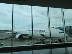 伊丹空港の手荷物受取所からの景色が好きです。