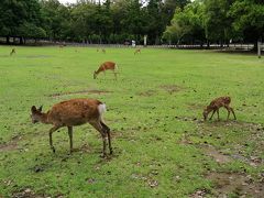 奈良公園