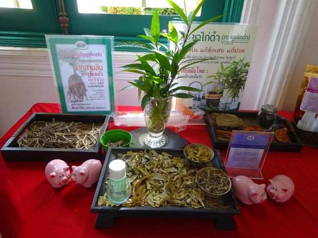 アバイブーベ病院　プラチンブリー <br /><br /><br />