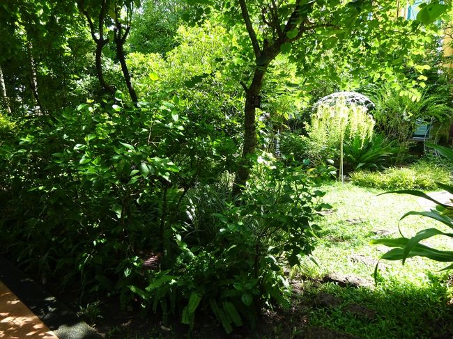 アバイブーベ病院　プラチンブリー <br /><br />博物館裏のハーブ園<br /><br />それぞれの木や草に名前と効能が記されています。