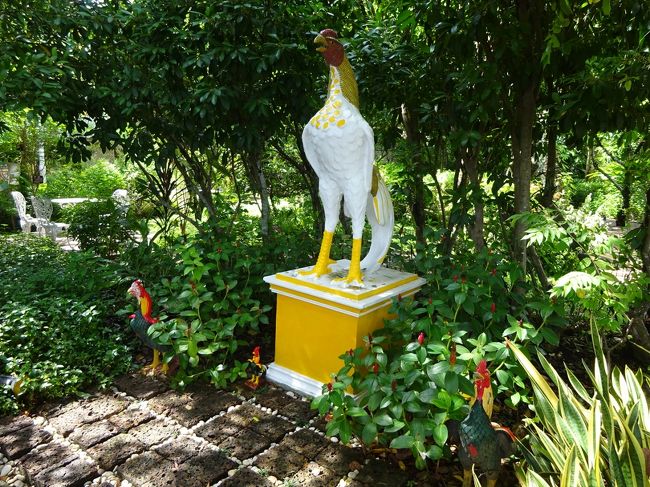 アバイブーベ病院　プラチンブリー <br /><br />博物館裏のハーブ園