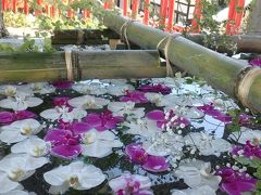 実はこちらは7月4日から8月のお盆の頃まで行われている「花手水」。

地元の小樽フラワーの協力で10日に1度、花の入れ替えをしながら参拝客を迎えてくれるのだ。この日は1回目の交換がされた後で水面には白と紫の胡蝶蘭がメインに花びらが浮かんでいた。