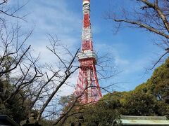東京タワーも見えています