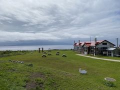 このパークは礼文島と利尻島の距離が一番近いので

ポスターのような風景が見られるのですが・・・

あいにく利尻富士は雲の中

宿題が残ってしまいました