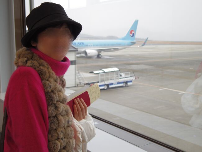 初めて韓国に行ったのは、当時５歳の息子隊員１号との２人旅だった。<br />帰りには、飛行中のコックピットに入れてもらった。<br />(今では考えられないが、当時は子ども連れだとよくあったサービス)<br />２回目は、息子隊員2号、3号が３歳ぐらいの時に行ったので、今回の訪韓は、20年ぶりだ。(ヨーロッパばかり行っていたので)<br />今回は、岡山空港から、大韓航空でソウル、仁川に飛ぶよ。
