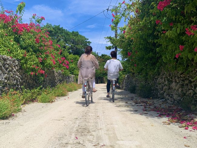 まずはブーゲンビリアが沢山咲いている道へ♪<br />最高に映えます☆