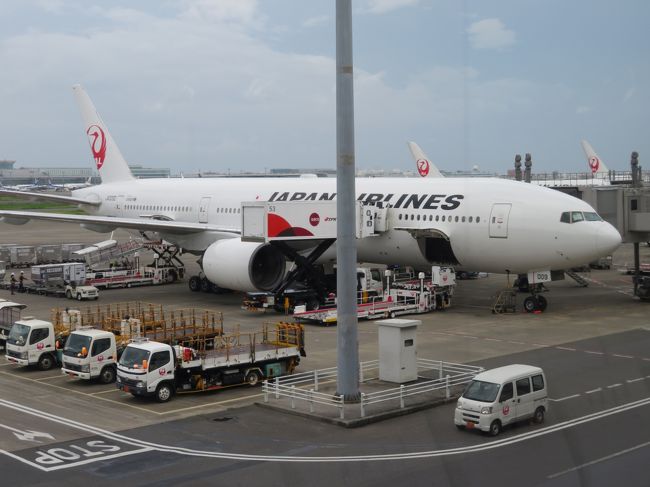 JA009Dに搭乗しロワジールホテルに宿泊し南から北からDBA-M900Sで廻った沖縄本島旅行』那覇(沖縄県)の旅行記・ブログ by 川崎太郎さん【フォートラベル】 JAL 美ら海水族館 ノベルティ ステッカー BOEING 石垣空港 シール