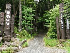 　昼食後は白駒の池と苔の森へ。曇りなのでメルヘン街道の景色は全くダメでした。
　途中標高最高地点2100mの看板を通り過ぎて白駒の池の駐車場に到着。

　観光客は数組だけでした。