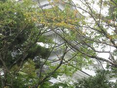 恐竜博物館の後は、平泉寺白神神社へ向かいます。
道中、通過の際に写真だけ撮った勝山城。