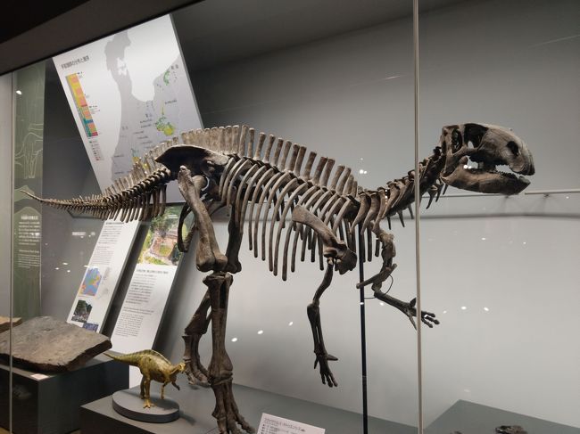 フクイサウルス