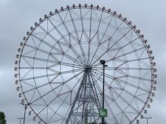 葛西海浜公園に着きました。駐車場から観覧車が見えます。雨が降ったり止んだりしているし、水族園は予約制だしで、駐車場は普段より車が少なかったです。