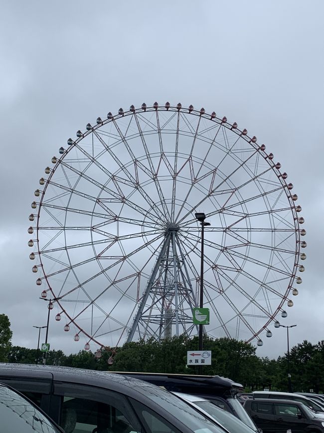 水族 葛西 園 予約 臨海