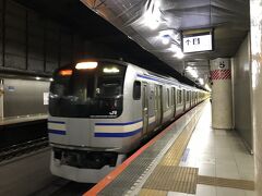 普段あまり来ない東京駅の総武線地下ホームへとやってきました。いつもなら地元の駅から京成線で成田空港へ向かいますが、今回は青春18きっぷを使用するのでJR線で成田空港へ向かいます。

横須賀・総武快速線向けのE235系1000番台がデビューし、引退が迫るE217系です。そういえば、いつの間にか「快速エアポート成田」って名称は無くなってしまったんですね。
