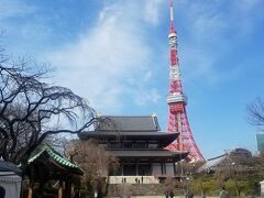 大殿と東京タワー