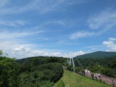 九重夢大吊橋


町おこしのために作られた歩行者専用の有料橋。車では橋の両端への道が他にあるので、完全に観光目的の橋らしい。

http://www.yumeooturihashi.com/