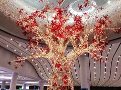 イスタンブール新空港に到着。クリスマスのイルミネーションなのでしょうか。日本のアマゾンで買ったトルコのSIMカードを挿入しました。クレジットカードでトルコリラをキャッシングするつもりでしたが、交換レートの良い銀行窓口があったため日本円現金をトルコリラに両替しました。下の階にあるバス乗り場へ行き、道路に向かって左端にある機械でイスタンブールカードを入手しました。ホテルに近いタクシム広場行きのHavaistバスを探して乗車し、イスタンブールカードで支払いました。イスタンブールカードにトルコリラをチャージすると地下鉄、トラム、ケーブル、渡し船、近郊電車に現金より安く乗れます。トラブルもあるという噂のタクシーを避け、もっぱら公共交通で移動しました。