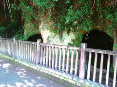 鶴丸城跡のハスの花を見ながら西郷隆盛洞窟を目指します。