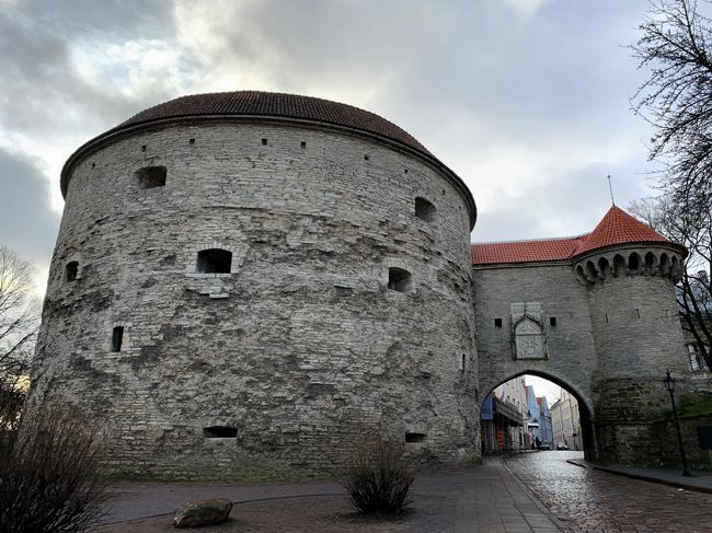 太っちょさん。<br />思ったよりでかーい。