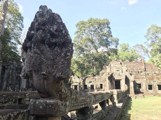 参道の片方に保存状態が良いナーガとガルーダ