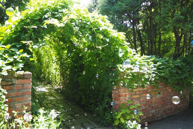 マザーズガーデンへ続くアーチ門。<br />シャボン玉が飛んでいて綺麗。