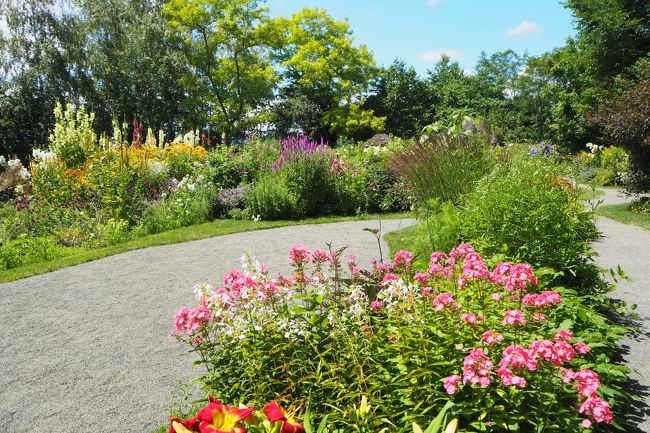 うわーぉ！<br />いろんな種類の花がいっぱい！<br /><br />《お断り』<br />私は、花の名前が覚えられないという特技があります。
