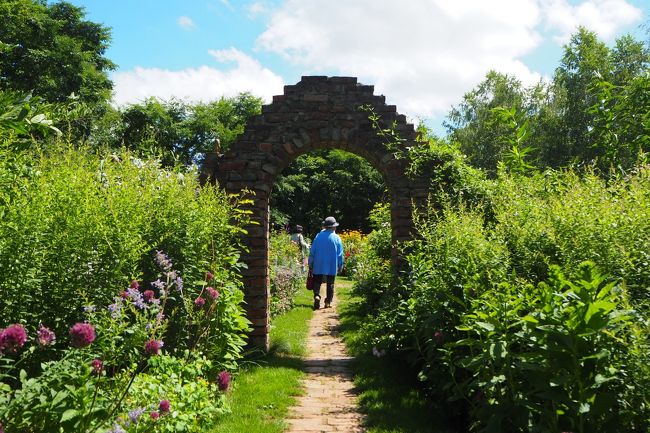 パープルウォーク<br />春は、両側が紫色の花で彩られるんです。