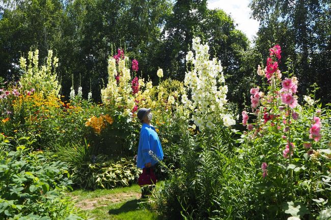 すごい、３ｍはありそう！