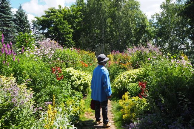 ミラーボーダー<br />鏡合わせのように左右対称に宿根草を植えこんだ帯状の花壇が現れます。<br />いろんな種類が咲いていて、素敵です。